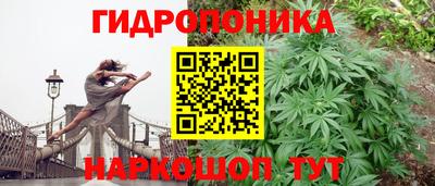 mdma Пенза