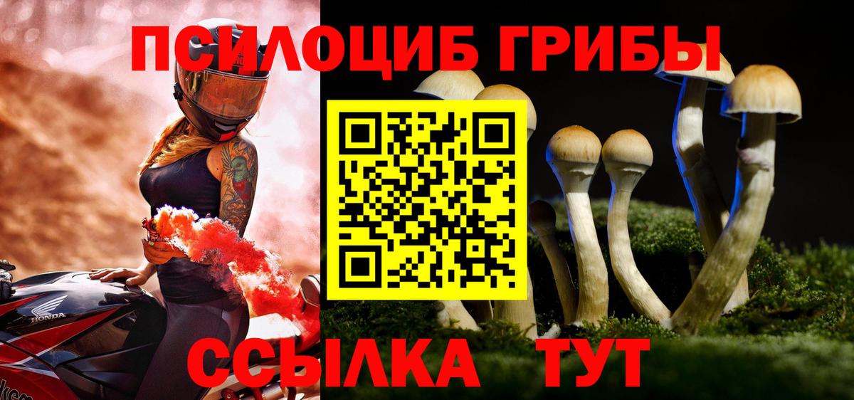 Галлюциногенные грибы Magic Shrooms Пушкино
